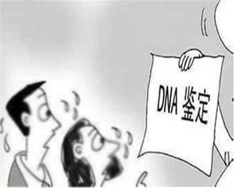 四川省能办理亲子鉴定吗,四川省亲子鉴定具体的流程 四川省能办理亲子鉴定吗,四川省亲子鉴定具体的流程